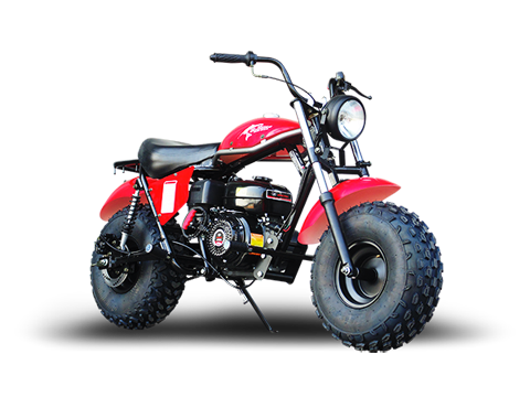 TrailMaster mini bikes, mini bike sales & restoration, Doug's Cycle Barn, MA, RI, CT, NH, ME, VT, NY